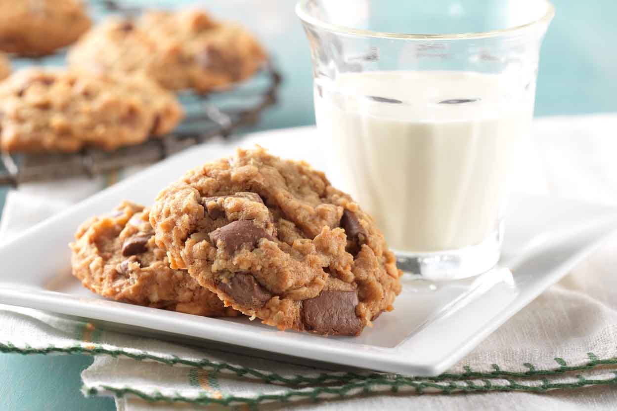 Chocolate Peanut Butter Oatmeal Cookie
